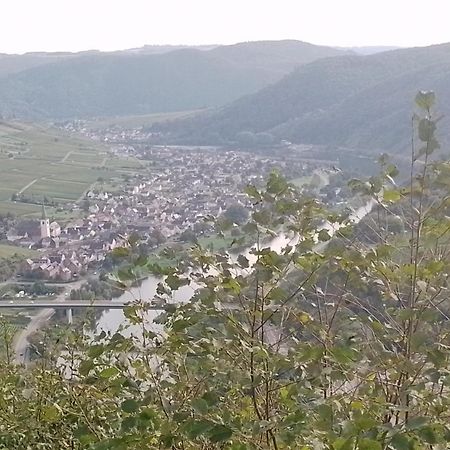 Ferienwohnungen Am Bruttiger Moselsteig Dış mekan fotoğraf