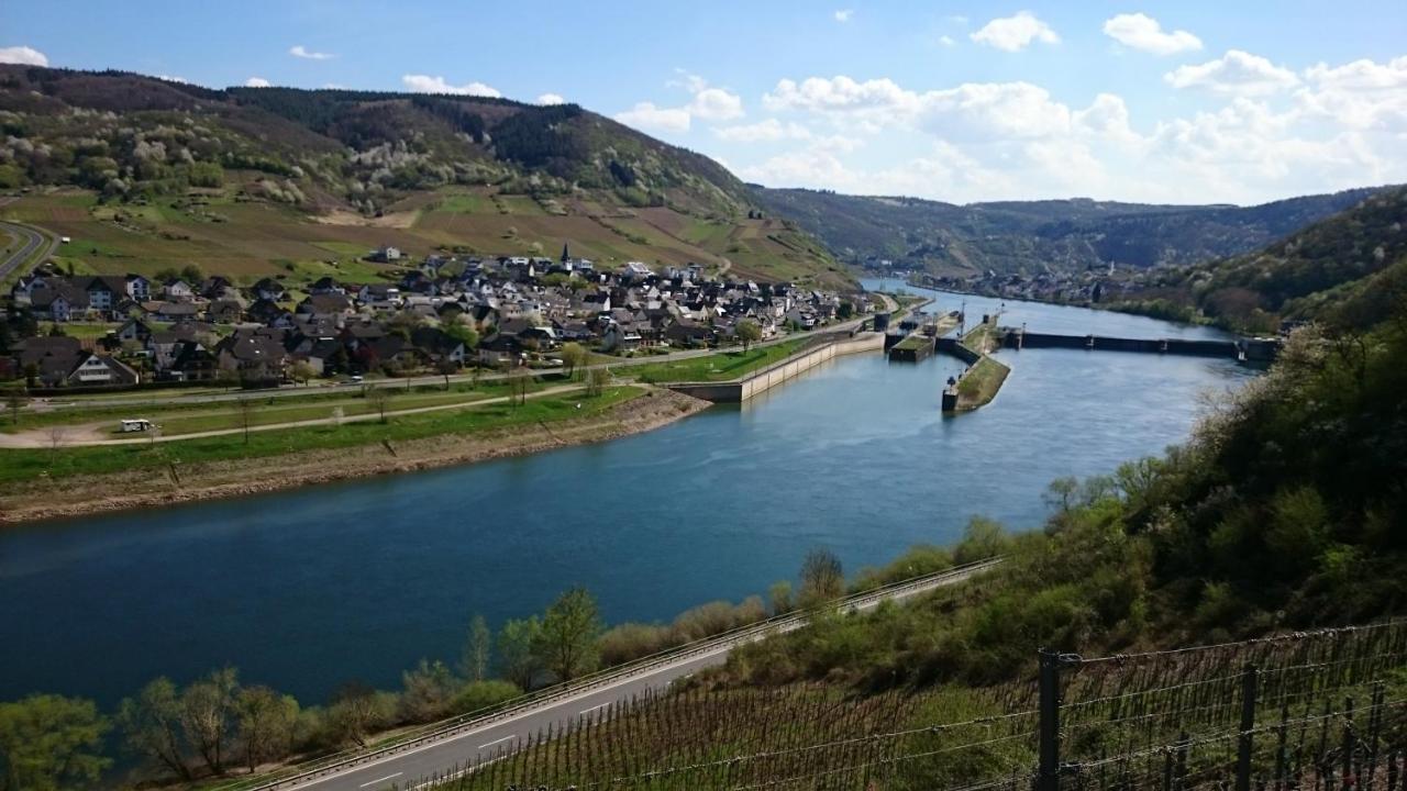 Ferienwohnungen Am Bruttiger Moselsteig Dış mekan fotoğraf