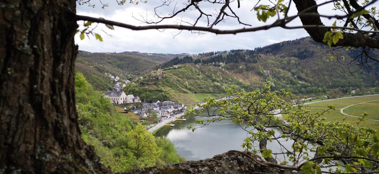 Ferienwohnungen Am Bruttiger Moselsteig Dış mekan fotoğraf