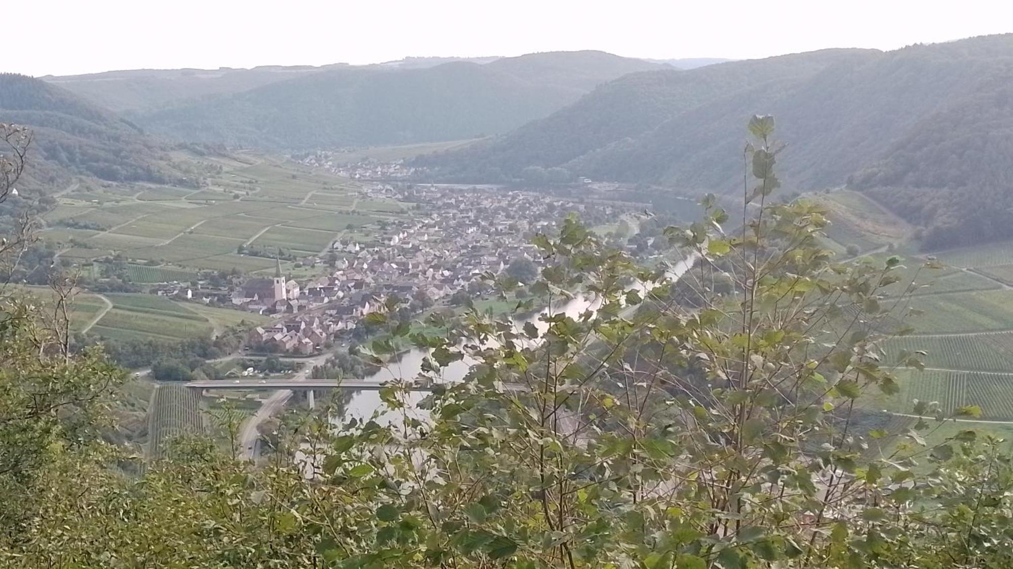 Ferienwohnungen Am Bruttiger Moselsteig Dış mekan fotoğraf