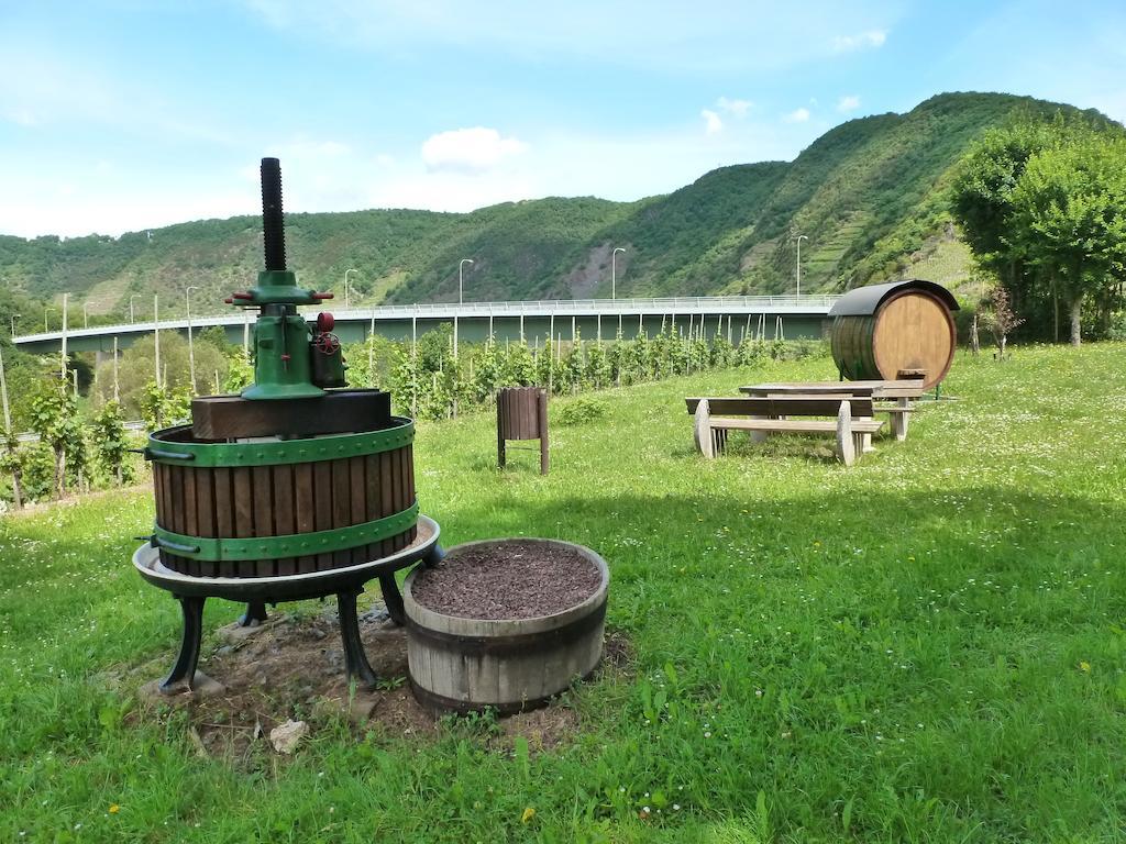 Ferienwohnungen Am Bruttiger Moselsteig Oda fotoğraf