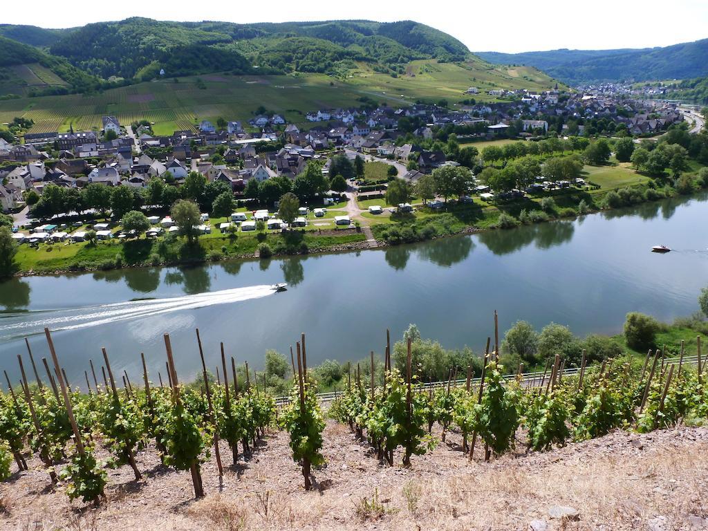 Ferienwohnungen Am Bruttiger Moselsteig Dış mekan fotoğraf