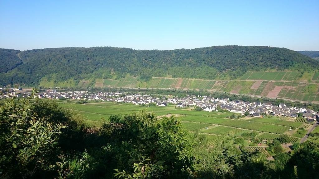 Ferienwohnungen Am Bruttiger Moselsteig Dış mekan fotoğraf