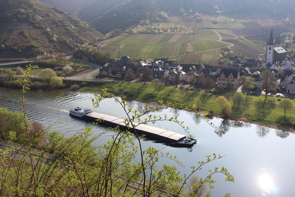 Ferienwohnungen Am Bruttiger Moselsteig Dış mekan fotoğraf