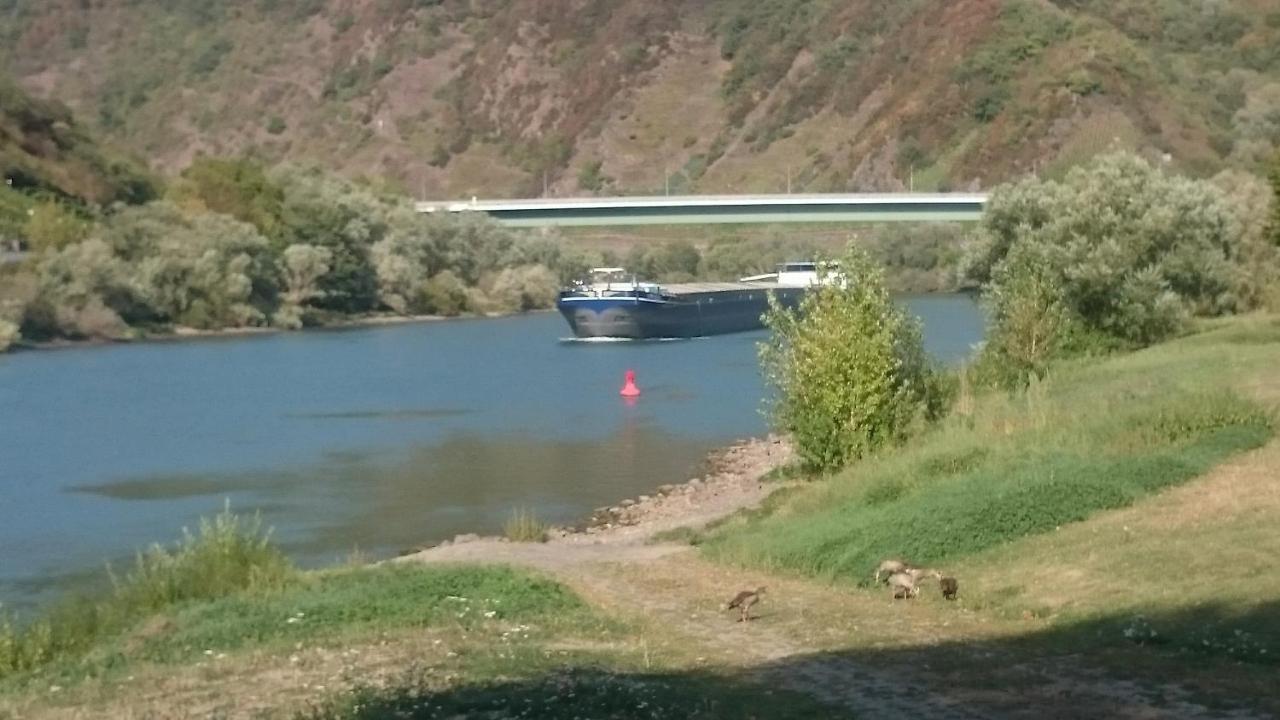 Ferienwohnungen Am Bruttiger Moselsteig Dış mekan fotoğraf