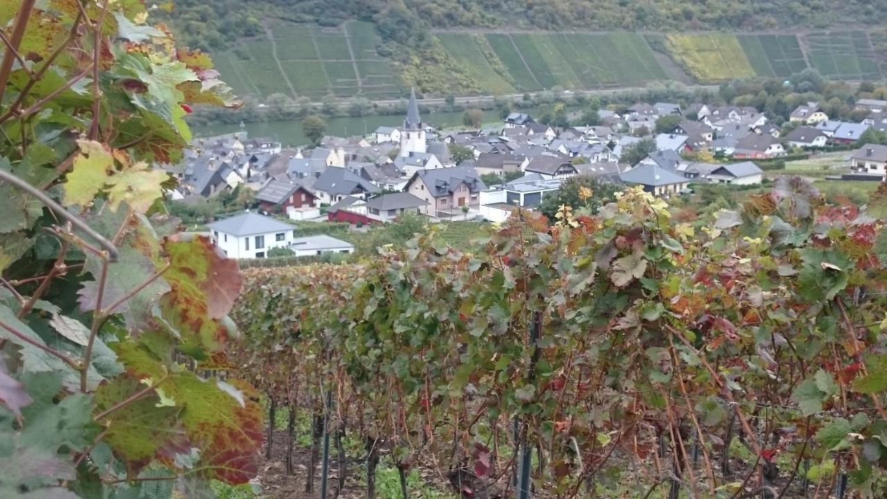 Ferienwohnungen Am Bruttiger Moselsteig Dış mekan fotoğraf